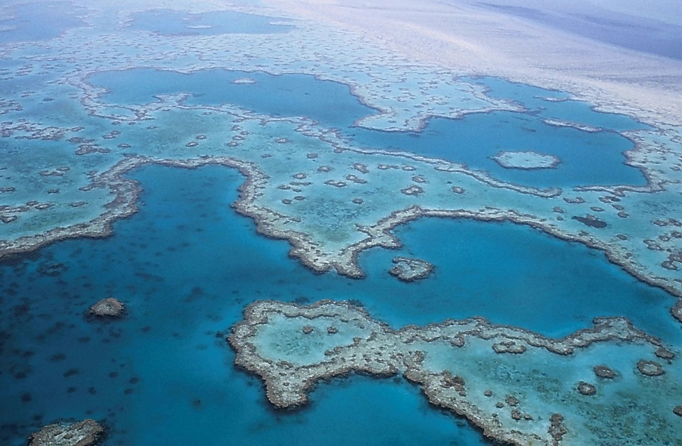 La grande barrière de Corail, Australie